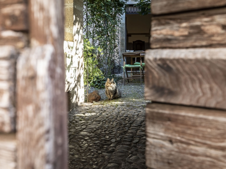 Antica Dimora del Gruccione Hotel b&b sardegna