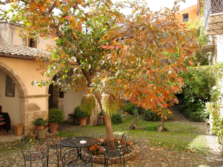 Antica Dimora del Gruccione