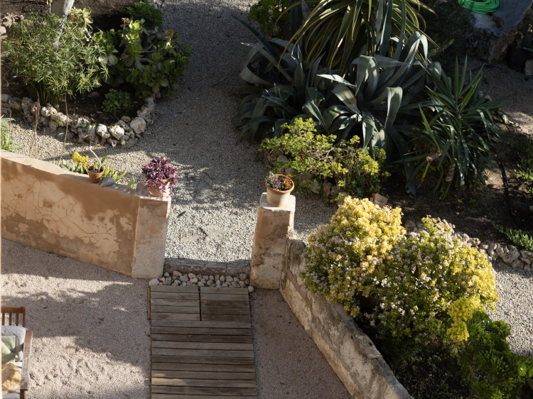 Garden of the Hotel Casa Mona. Family holidays. Yoga and wellness retreat. Accommodation in Mallorca, village of Llubí. 