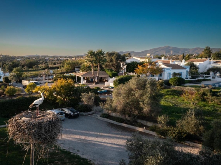 Casa Flor de Sal bezaubernde Villen zur Miete mit Swimmingpool in der Algarve Tavira