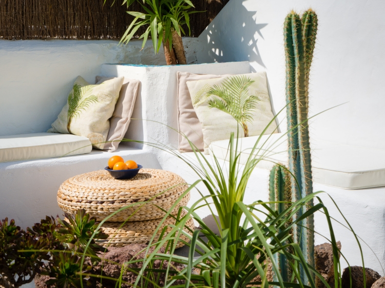 A sunny corner seat in the garden