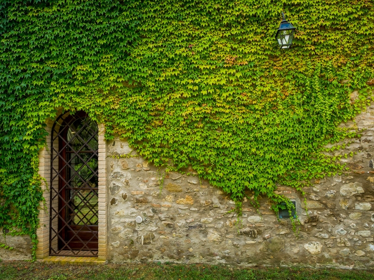 Ginestriccio Tenuta Gardini Charming Apartments Bibbona Tuscany Italy