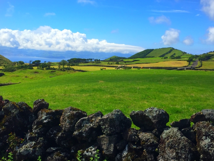 Charming Cozy House Monte Branco Azores Pico Island