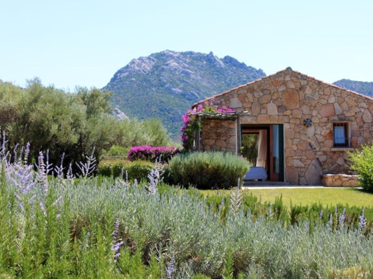 B&B Albero Capovolto