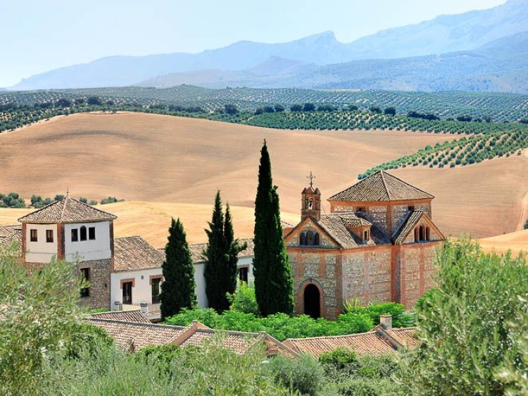 Cortijo del Marques hotel m