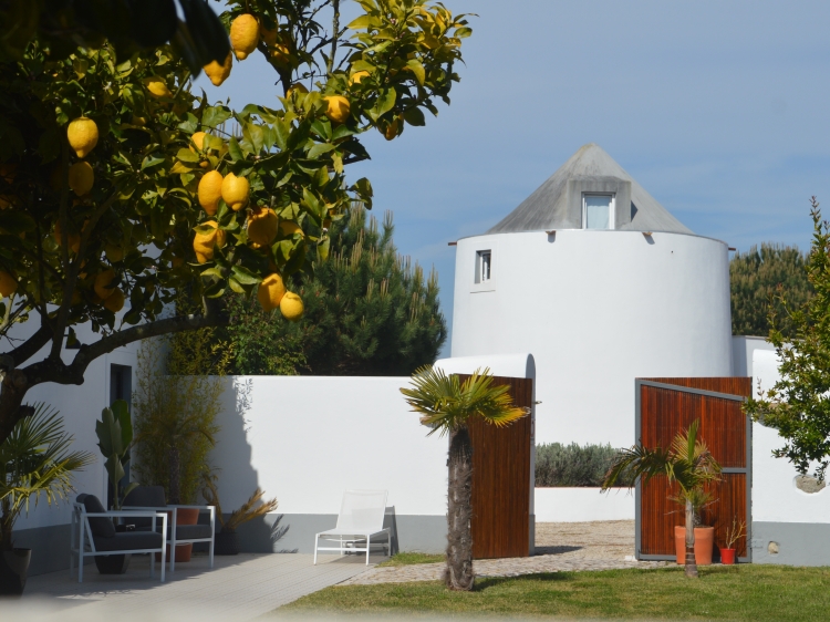 Charming Accommodation by the sea in Portugal