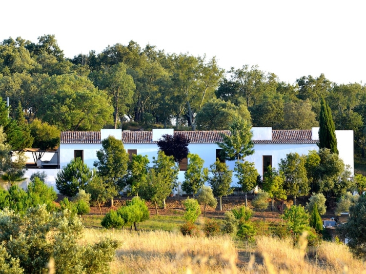 A Casa de Estremoz beautiful villa to rent in Alentejo with swimming pool