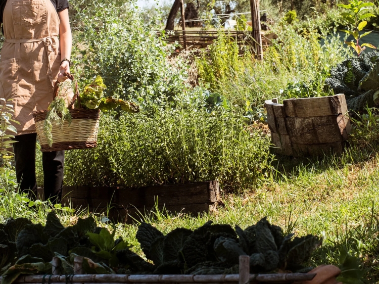 Vegan Agrivilla i pini