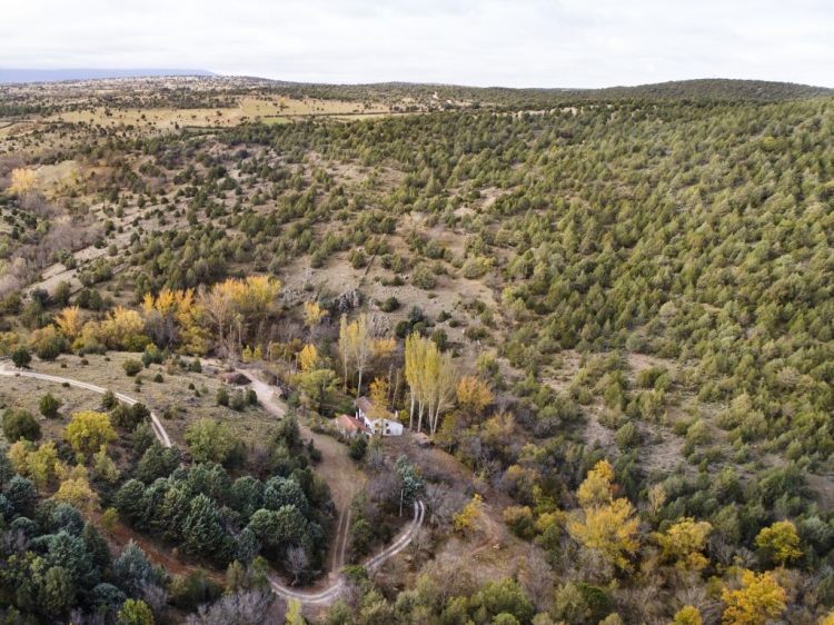 Molino del Feo villa segovia