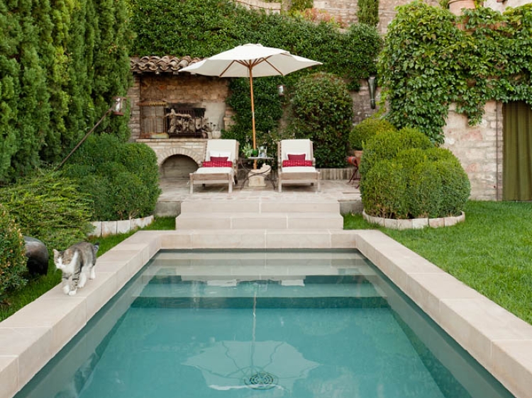 POOL AND GARDEN