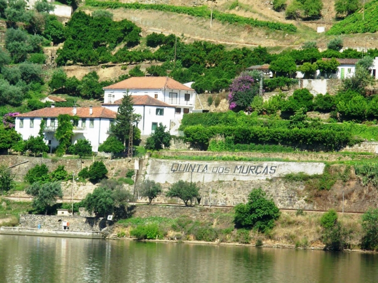 murcas quinta house villa douro