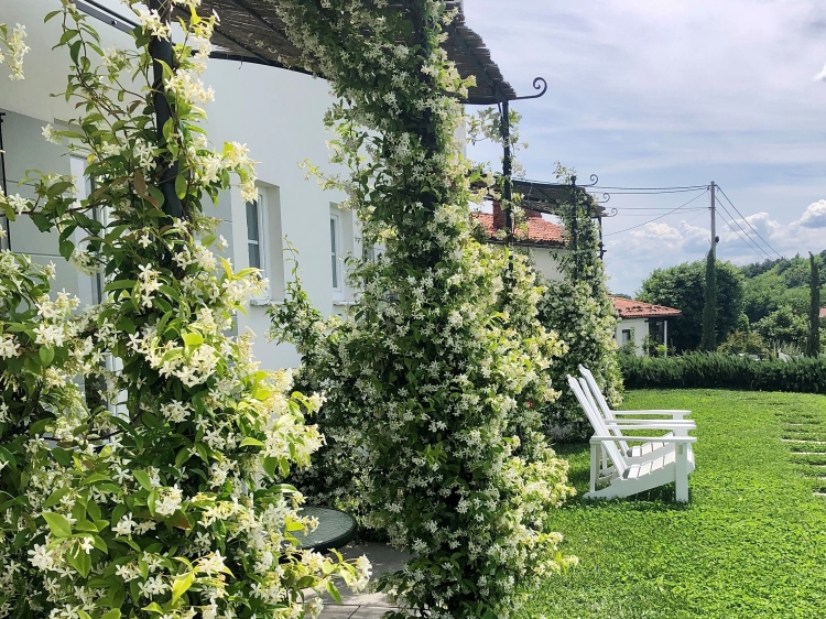 Hotel´s garden, Peterc Vineyard Estate, SecretPlaces
