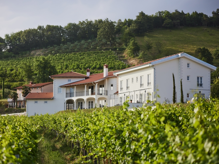 Panoramic views, Peterc Vineyard Estate, SecretPlaces, Kojsko, Brda