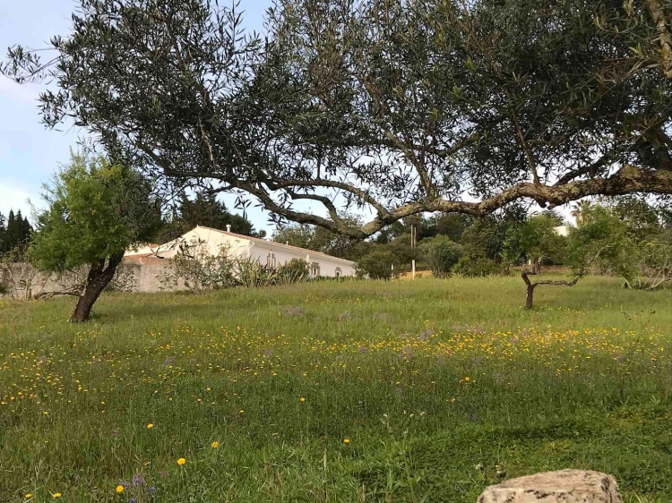 O Monte best boutique house villa holidayhome  with 4 rooms in S. Teotonio algarve