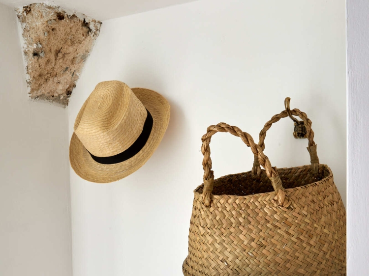 Petra - Country House, Monteroni di Lecce (Italy)