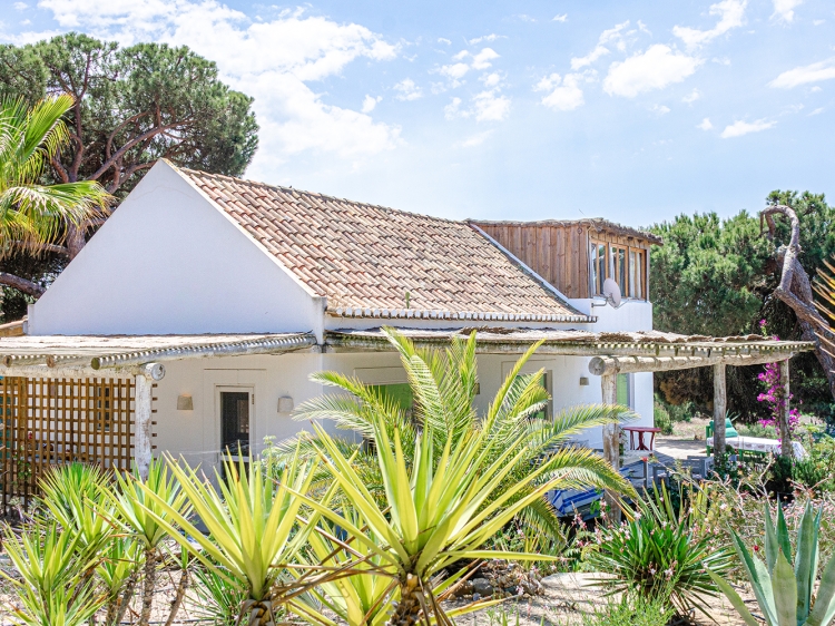 best charming holiday villa in Melides Portugal on the countryside