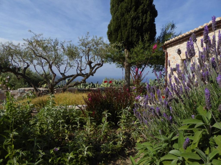 Garden Antares Mani Omales Secretplaces   