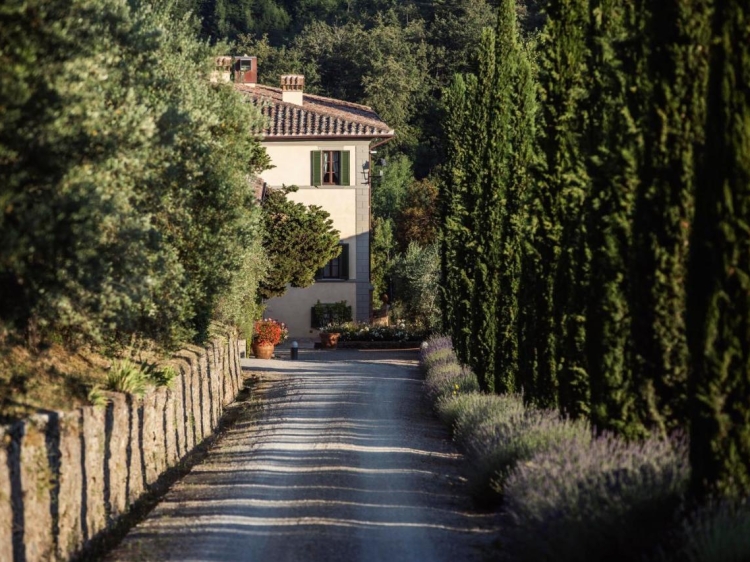Dievole Wine Resort Tuscany countryside hotel