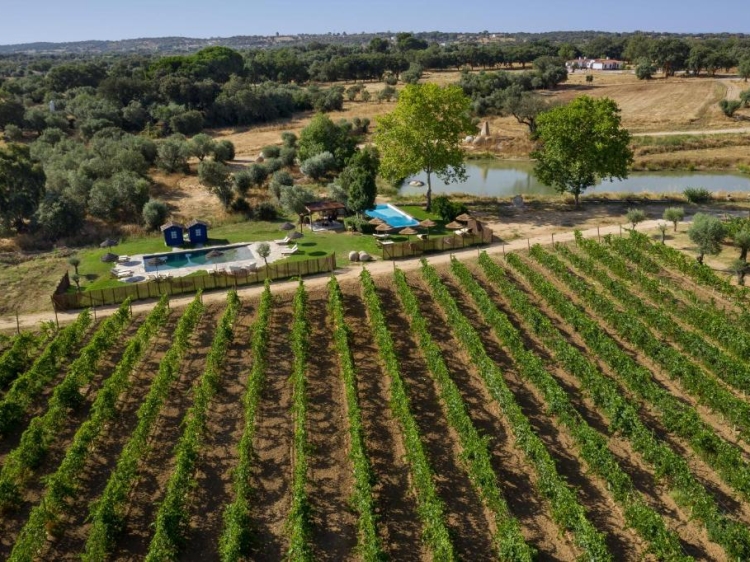 Casas da Quinta de Cima – Charming villas and B&B near Évora, with a swimming pool and horse riding in the heart of Alentejo.