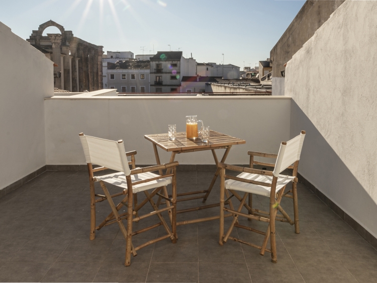 Petronila 1881 Apartments. Cheap flats in the centre of Merida, Extremadura. Charming flats for families. City breaks. Weekend in Merida. 