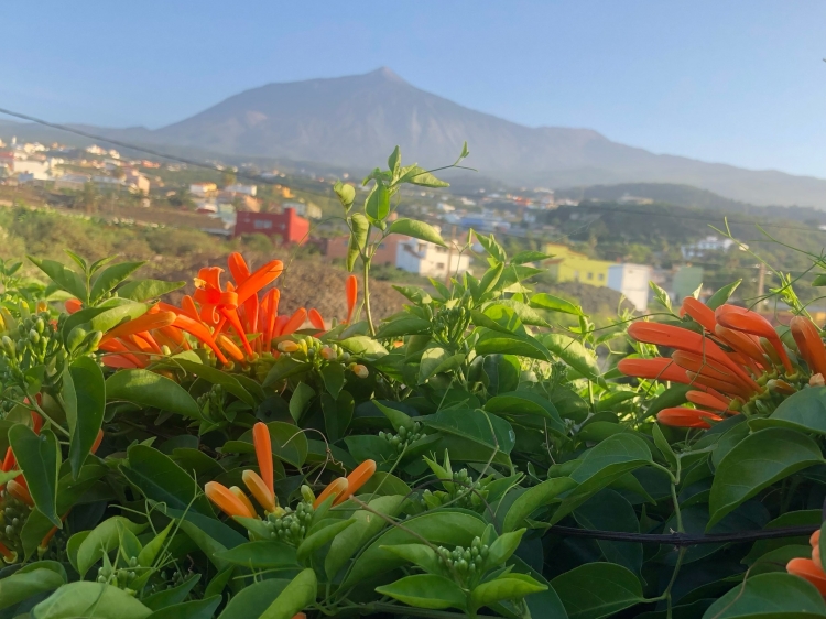 Casita Aquavista self-catering icod de los vinos tenerife