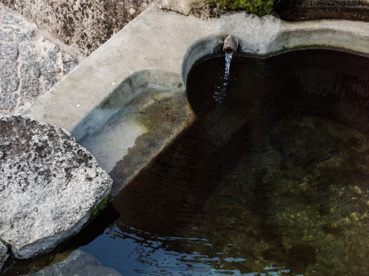 Natural pool