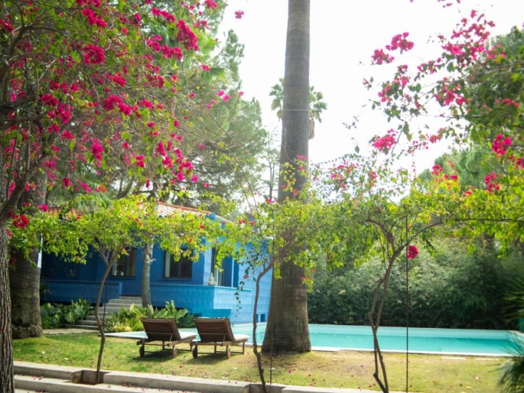 El Botánico de Sagraa. Ecolodge Jardin Hôtel Costa Blanca alicante
