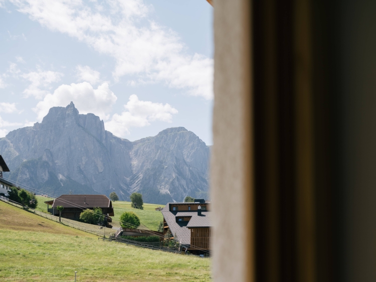 Apartment OANS Dolomites view