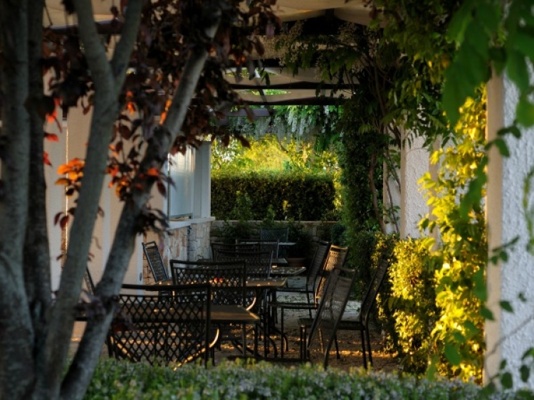 Arbor