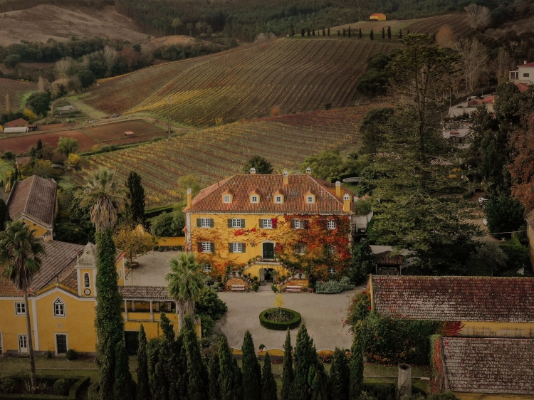 quinta de sant'Ana best enoturism in Portugal charming hotel near ericeira