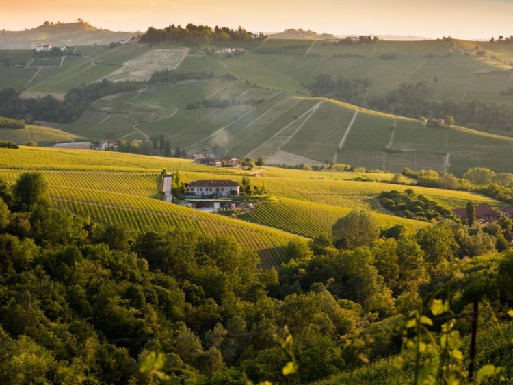 cascina Barac piamonte hotel piedemont wine best