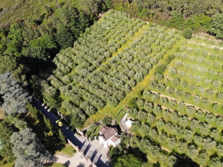Albergo Villa Marta best boutique luxury hotel en lucca Tuscany