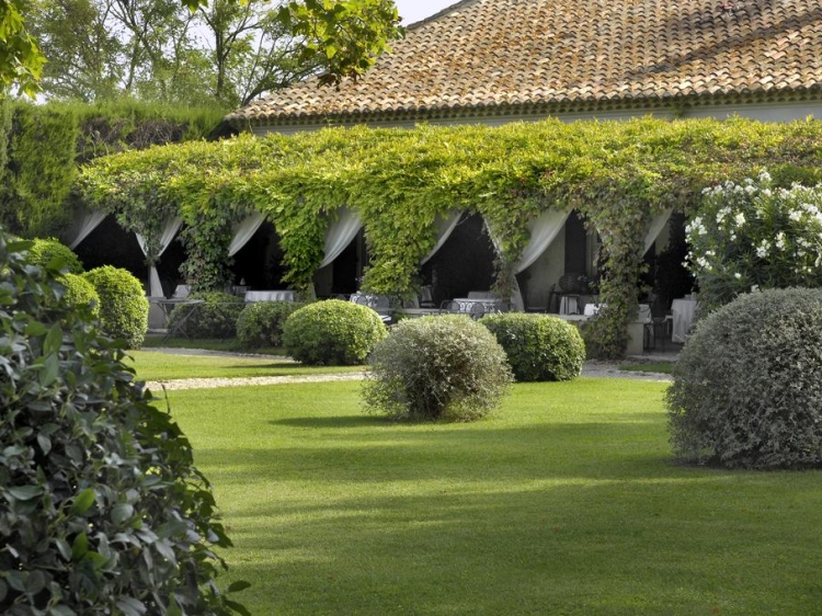 Hotel terrace