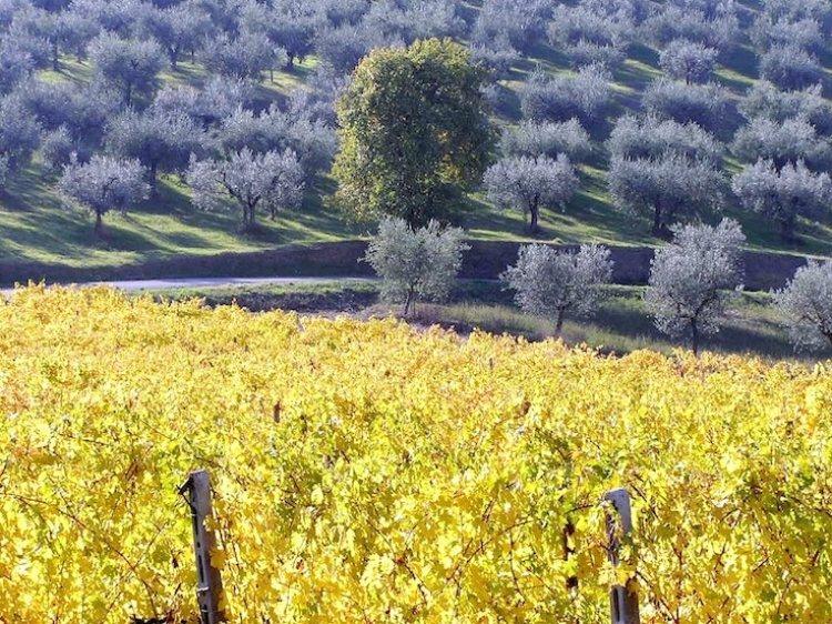 Genius Loci Country Inn Hotel Umbria