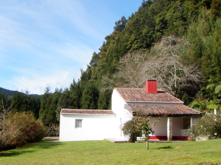 Furnasl Lake sao miguel azores