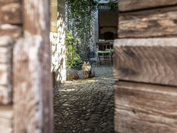 Antica Dimora del Gruccione - Boutique Hotel in Santu Lussurgiu, Sardinia