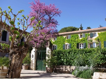 Domaine Saint Hilaire - Holiday home villa in Pézenas, Languedoc-Roussillon