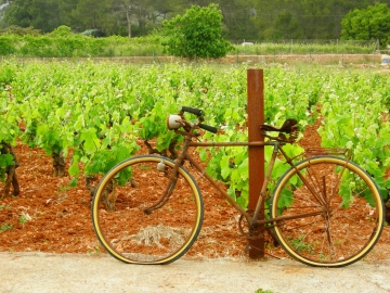 Agroturismo Sa Vinya den Palerm - Country Hotel in San Miguel, Ibiza