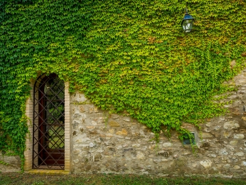 Appartamenti Ginestriccio - Holiday Apartments in Bibbona, Tuscany