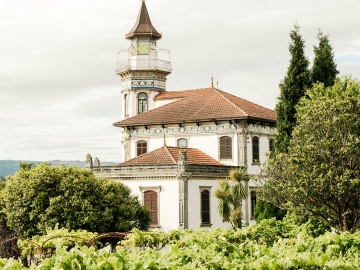 Villa Idalina - Manor House in Seixas do Minho, Douro & North