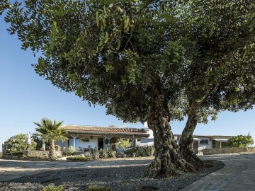 Casa Maya - Holiday home villa in São Brás de Alportel, Algarve