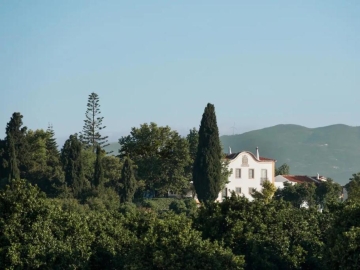 Quinta da Donalda  - Holiday homes villas in Portimão, Algarve