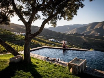 Quinta da Corte - Bed and Breakfast in Valença do Douro, North of Portugal