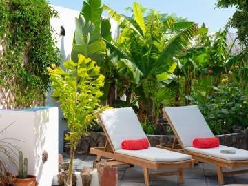 Secret Garden  - Holiday home villa in Guatiza, Canary Islands