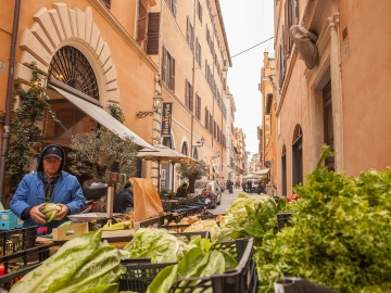 Fabbrini Bocca Di Leone - Bed and Breakfast in Rome, Rome