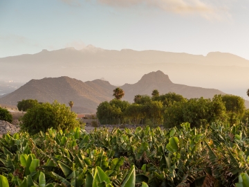 Villa El Mato - Holiday home villa in Guaza, Canary Islands