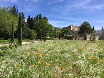 Domaine Les Martins - Country Hotel in Gordes, French Riviera & Provence