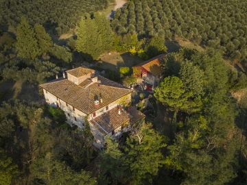 Costalmandorlo - Cottages in San Quirico in Collina, Tuscany