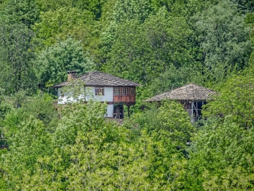 Karashka - Holiday home villa in Selishte, Central Northern Bulgaria