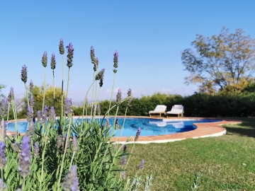 Roca Verde - Bed and Breakfast in Alhaurin de la Torre, Malaga